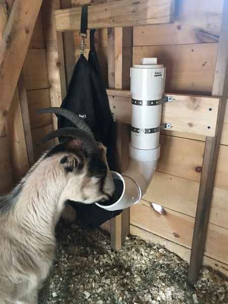 DIY PVC Goat Mineral Feeder