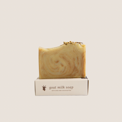 Cardamom &amp; Cedar soap bar on top of soap box, beige background