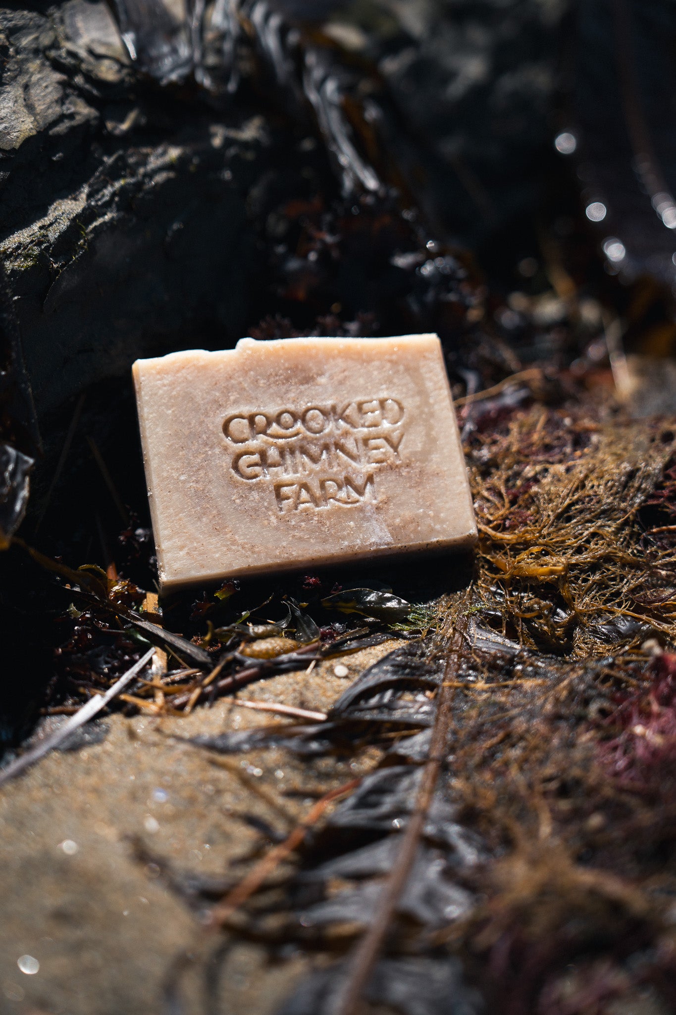 A bar of Crooked Chimney Farm Tide soap leaning amongst kelp and sand at the beach