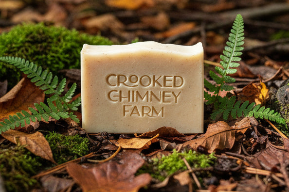 a bar of north woods soap on leaves in the forest 